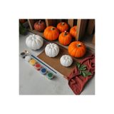 Pumpkin kabak 3 boy büyük orta ve küçük boy boyama seti taş tozu halloween