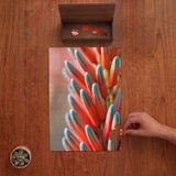 Punto Dizayn Çiçek Açmış Aloe Bitkisi Tasarımı 240 Parça Ahşap Puzzle Ahşap Kutuda PD00390