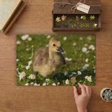 Punto Dizayn Çiçeklerin Arasında Sevimli Yavru Ördek Tasarımı 240 Parça Ahşap Puzzle Ahşap Kutuda MPY40413