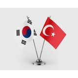 Punto Dizayn Güney Kore Bayrağı Türk Bayrağı Ikili Saten Masa Bayrağı Takımı