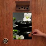 Punto Dizayn Islak Spa Taşları - Beyaz Çiçekler Tasarımı 240 Parça Ahşap Puzzle Ahşap Kutuda PD00176