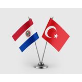 Punto Dizayn Paraguay Bayrağı ve Türk Bayrağı Ikili Saten Masa Bayrağı Takımı
