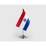 Punto Dizayn Paraguay Tekli Saten Masa Bayrağı Seti