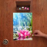 Punto Dizayn Pembe Nilüfer Çiçeği Tasarımı 240 Parça Ahşap Puzzle Ahşap Kutuda PD00083