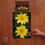 Punto Dizayn Sarı Güzel Çiçekler Tasarımı 240 Parça Ahşap Puzzle Ahşap Kutuda PD00876