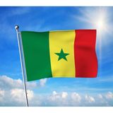 Punto Dizayn Senegal Devleti Bayrağı Premium Raşel Kumaş 70X105 cm