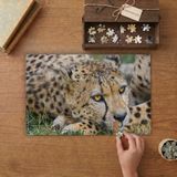 Punto Dizayn Uzanan Çita Tasarımı 240 Parça Ahşap Puzzle Ahşap Kutuda MPY60069