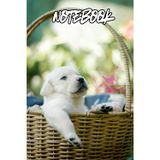 Puppy Baby Labrador Notebook: Cute Dog Journal, 120 Lined Pages