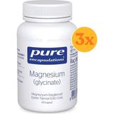 Pure Encapsulations Magnesium Glycinate (Magnezyum Glisinat) Takviyesi 60 Kapsül - 3 Adet (Toplam 180 Kapsül) - Dezenfektan Hediyeli (%72 Alkol)