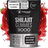 Pure Himalayan Shilajit Gummies 90 Gummy