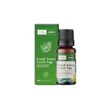 Pure Lueur Uçucu Yağ Enerji Arttırıcı 10 ml