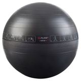 Pure P2I200070 65 cm Pilates Topu