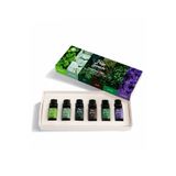 Pure Sauna Saf 6’lı Uçucu Yağ Seti - Özel Seçki Buhurdanlık ve Difüzör Kokusu (6 x 10 ml)