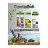 PureCanpati Kaplumbağa Tam Bakım Seti(Vitamin,kabuk Koruyucu,su Düzenleyici)