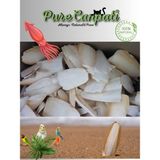 Purecanpati Kırıklı Iri Boy Kalamar Kemiği 100 gr