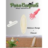 Purecanpati Mürekkep Balığı Kemiği (Kalamar) Küçük Boy - 8 Adet
