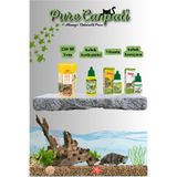 PureCanpati Su Kaplumbağası Yem & Kabuk Bakım Seti (Raffy I – 250 ml)