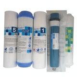 Purefer Açık Kasa Tek Karbonlu 5'Li Set Filtre Global Water Mebranlı Su Arıtma Cihazı