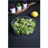 Purelegant Modern Cam Salata Tabağı 20 Cm Salata Cips Yuvarlak Sunum Ve Servis Kasesi 1 Adet