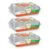 Puretex Yüzey Temizlik Havlusu Turuncu Meyveler 3x100 (300 Yaprak)