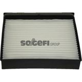 Purflux Almparca Polen Filtresi Scenic Ii 1.4-1.6-1.6 16V-2.0 16V-1.5DCI-1.9DCI-2.0DCI Plastik Çerçeveli - Renkli