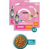 Purina One Junior Tavuklu Yavru Kedi Maması 800 Gr x 3Ad