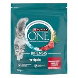 Purina ONE Sığır Etli Yetişkin Kuru Kedi Maması 750g