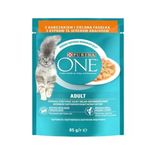Purina One Yetişkin Kediler Için Sos Içerisinde Tavuklu Ve Fasulyeli Mini Filetolar 85 Gr 12 Adet