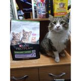 Purina Pro Plan Kısırlaştırılmış Yavru Kedi Kuru Mama Somonlu 3kg - 1 adet