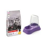 Purina Pro Plan Kitten Tavuklu 1.5 kg Yavru Kedi Maması+ Evohe Mama Kabı