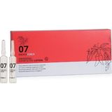 PURING 07 Energyforce Ince Zayıf Saçlar,dökülme Karşıtı Biber&limon Özlü Güçlendirici Saç Serumu 12X10ML - Şeffaf