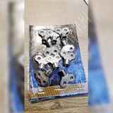 Purjör Petek Hava Alma Anahtarı 10 Adet