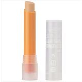 Purobio Sublime Luminous Concealer Stick Kapatıcı 3,6 Ml - 04