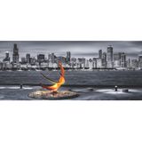Puzz Puzzle Chicago Panorama 1000 Parça Puzzle