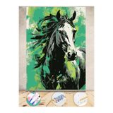 Puzzle Sayılarla Boyama Numaralı Tuval Seti Fırça Boya Dahil 35x50 Cm AT