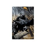 Pyramid International Batman V Superman Savaş Takım Maxi Poster, Ahşap, Çok Renkli