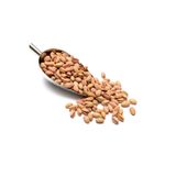 Qavruq quality nuts LÜX SİİRT FISTIĞI 1 KG