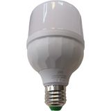 Qenos 20W Torch Ampul Beyaz