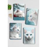Qoeuyl Boutique Beyaz Kedi Kış Temalı Tasarım Tel Spiralli 4'lü Hatıra, Günlük, Ajanda, Anı, Okul Defter Seti - 001-Renkli - A5 - Kareli