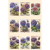Qoeuyl Boutique Retro Çiçekler Temalı 9'lu Kartpostal