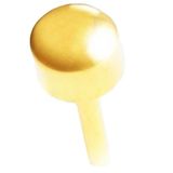 QPP Kulak Delme Küpesi Gold Top 12 Çift