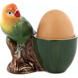 Quail Kuş Yumurtalık