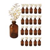 Qualitev 20 Adet 100 ml Amber Cam Mini Vazo Küçük Dekoratif Şişe (Çiçeksiz)