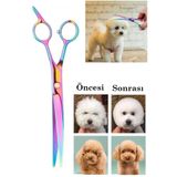 qualityworld Kavisli Rainbow Petshop Kuaför Kedi Köpek Evcil Hayvan Makası Saç Şekil Verme Makası Xlq510