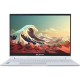 Quantum Whitefang G4035 Ryzen 7 8745HS 16GB RAM 512GB SSD 8GB RTX 4060 FreeDOS 16 inç Beyaz Oyun Bilgisayarı