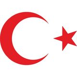 Quart Aksesuar Ay Yıldız Sticker Türk Bayrağı Oto Sticker Araba Cam Sticker - Kırmızı - 30 x 22 cm