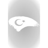Quart Aksesuar Türk Bayrağı Sticker Beyaz 25 X 13 cm, 795258224277