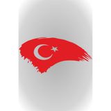 Quart Aksesuar Türk Bayrağı Sticker Kırmızı 20 X 10 cm, 795258224246