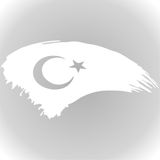 Quart Aksesuar Türk Bayrağı Türkiye Bayrak Sticker - Beyaz - 30 x 15 cm