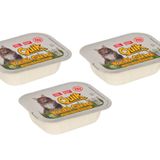 Quik Fileli Doğal Kedi Çimi (3 ADET)